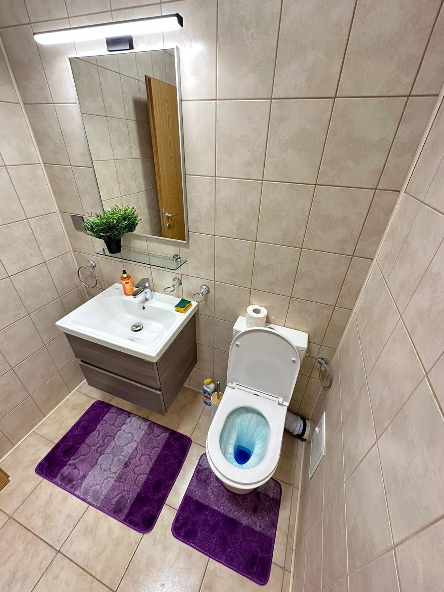 Centru Unirii Luxury Vip Palmier Apartament 2 Camere Cu Terasa Exterioara Amenajata ! Parcare Subterana Privata Climatizata Si Supravegheata Video Dar Doar Cu Rezervare In Limita Locurilor Disponibile !Proprietate In Regim Hoteliep - Nu Are Bucatarie ブカレスト エクステリア 写真