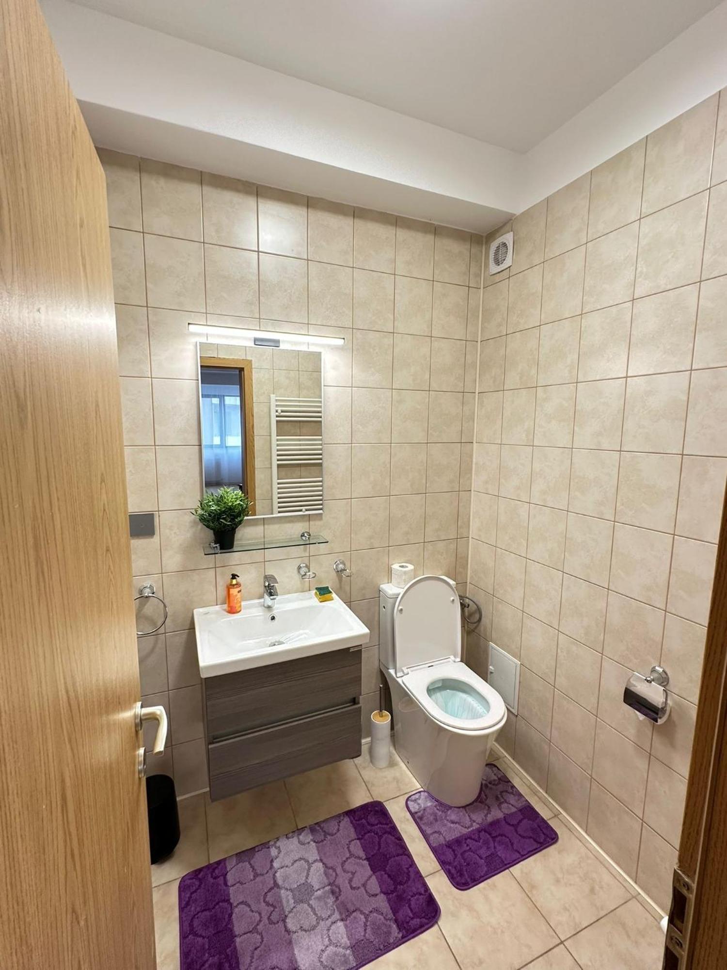Centru Unirii Luxury Vip Palmier Apartament 2 Camere Cu Terasa Exterioara Amenajata ! Parcare Subterana Privata Climatizata Si Supravegheata Video Dar Doar Cu Rezervare In Limita Locurilor Disponibile !Proprietate In Regim Hoteliep - Nu Are Bucatarie ブカレスト エクステリア 写真